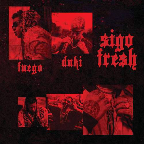 Portada de Sigo Fresh
