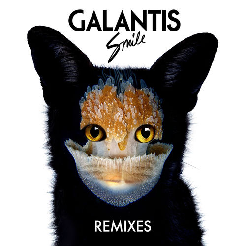 Portada de Smile Remixes