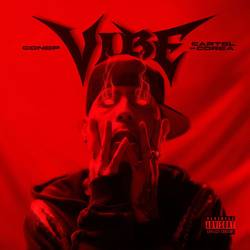 Portada de Vibe