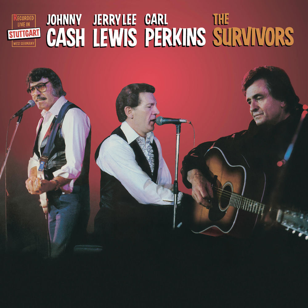 Portada de I Forgot to Remember to Forget