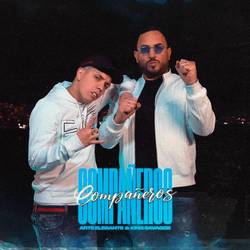 Portada de Compañeros