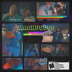Portada de Machuqueo