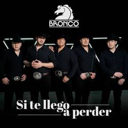 Portada de Si Te Llego a Perder