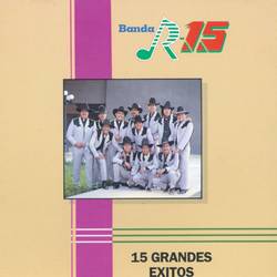 Portada de 15 Grandes Exitos