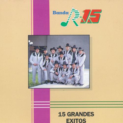 Portada de 15 Grandes Exitos