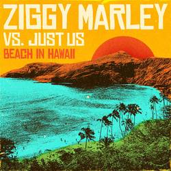Portada de Beach In Hawaii