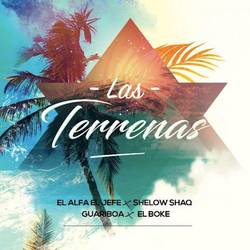Portada de Las Terrenas (feat. El Boke)