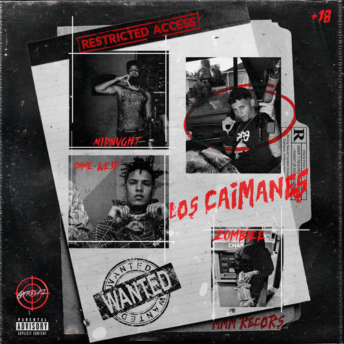Portada de LOS CAIMANES