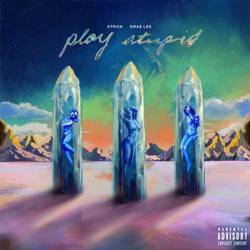 Portada de Play Stupid