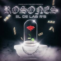 Portada de Rosones