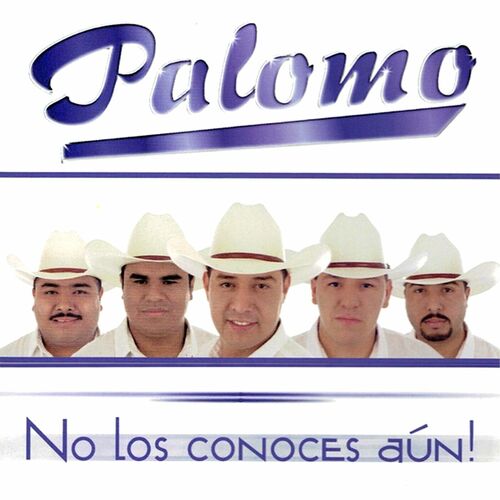 Portada de No Los Conoces Aún