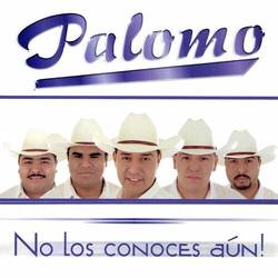 Portada de No Los Conoces Aún