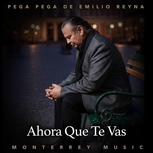 Portada de Ahora Que Te Vas