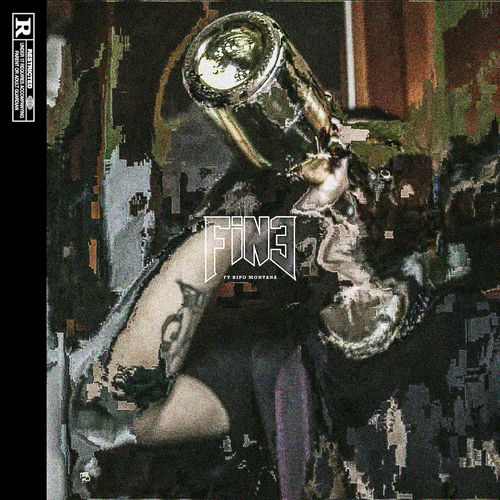Portada de Fine