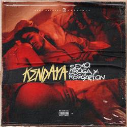 Portada de Sexo, Droga y Reggaeton