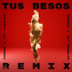 Portada de Tus Besos (Remix)