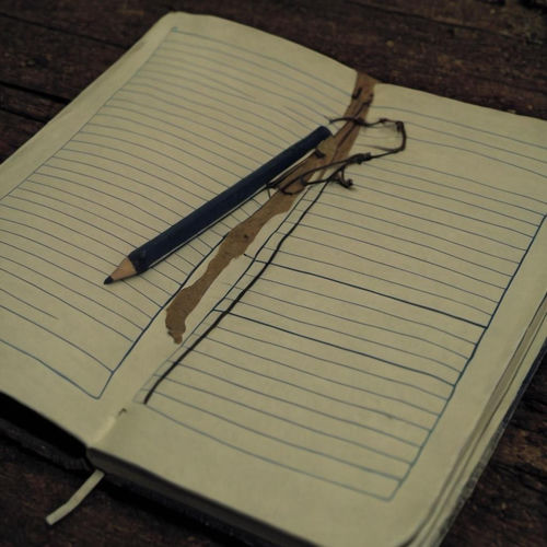 Portada de The Lost Notebook