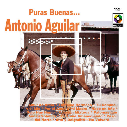 Portada de Puras Buenas
