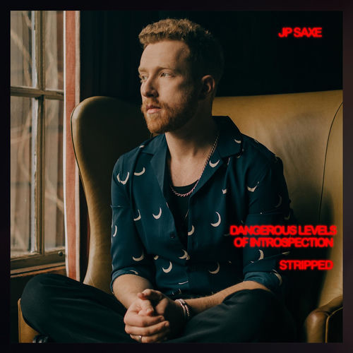 Portada de Dangerous Levels Of Introspection (Stripped)