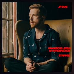 Portada de Dangerous Levels Of Introspection (Stripped)