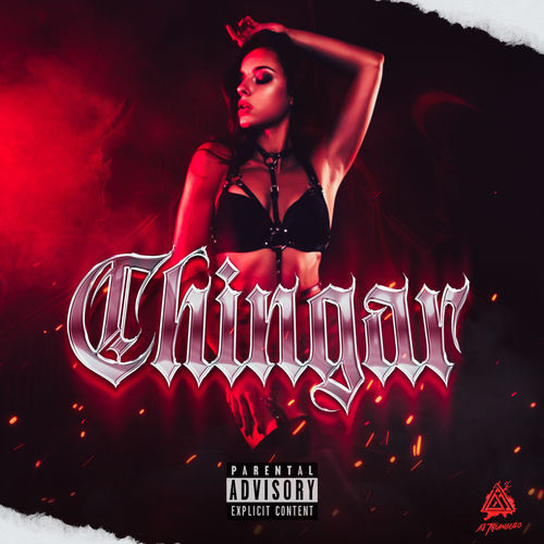 Portada de Chingar