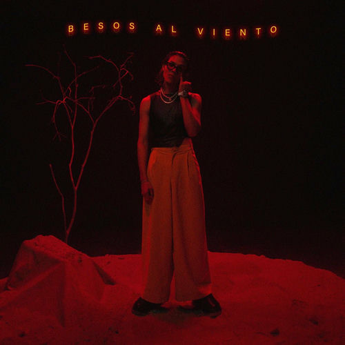 Portada de BeSos aL vIEnTo :(
