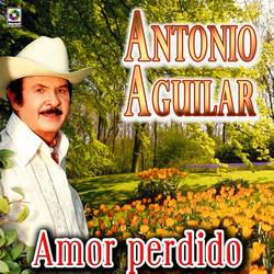 Portada de Amor Perdido