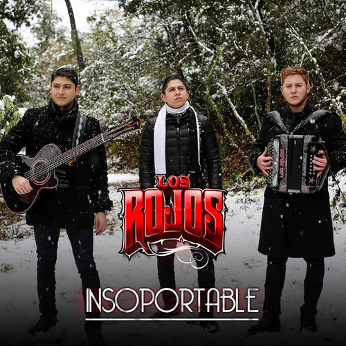 Portada de Insoportable