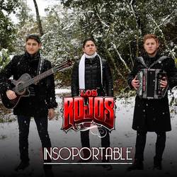Portada de Insoportable