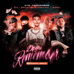 Portada de Do You Remember (Remix)