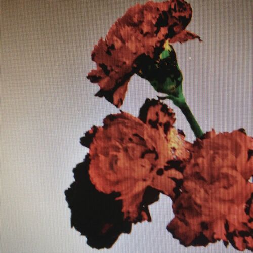 Portada de Made To Love