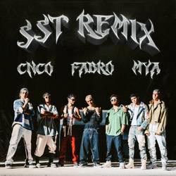 Portada de Suelta, Sola y Tranquila REMIX