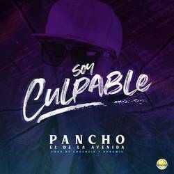 Portada de Soy Culpable