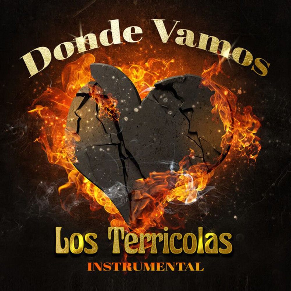 Portada de Donde vamos (Instrumental)