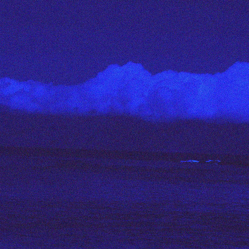 Portada de PECES EN EL MAR
