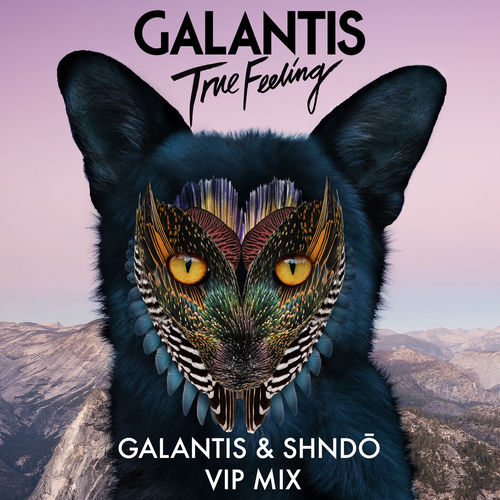 Portada de True Feeling (Galantis & shndō VIP Mix)