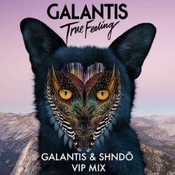 Portada de True Feeling (Galantis & shndō VIP Mix)