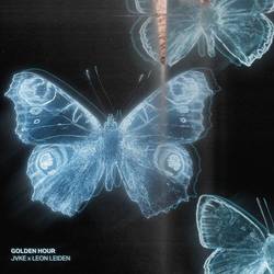 Portada de golden hour (Leon Leiden Remix)