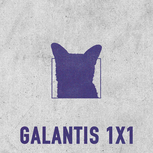 Portada de 1x1