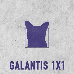 Portada de 1x1