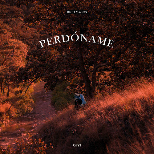 Portada de Perdóname
