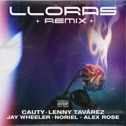 Portada de Lloras (Remix)
