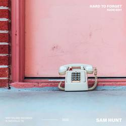 Portada de Hard To Forget (Radio Edit)