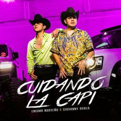 Portada de Cuidando La Capi