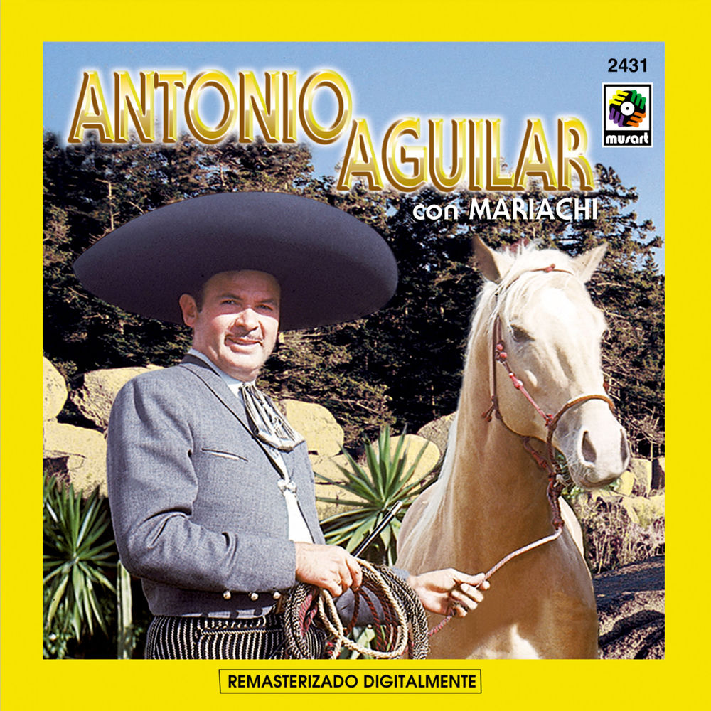 Portada de Fallaste Corazón