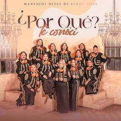 Portada de ¿Por Qué Te Conocí?