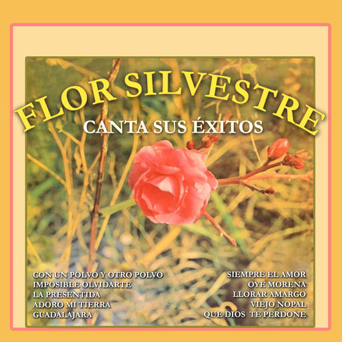 Portada de Canta Sus Éxitos