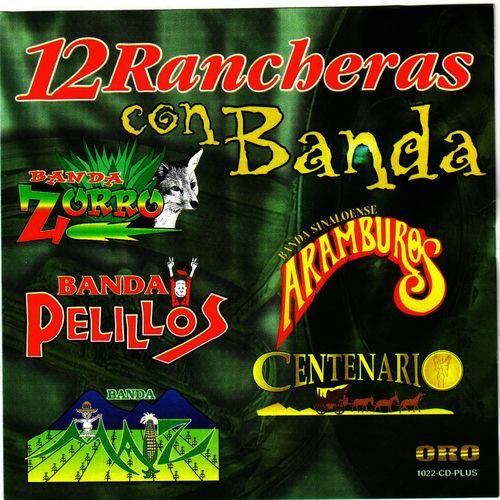 Portada de 12 Rancheras con Banda