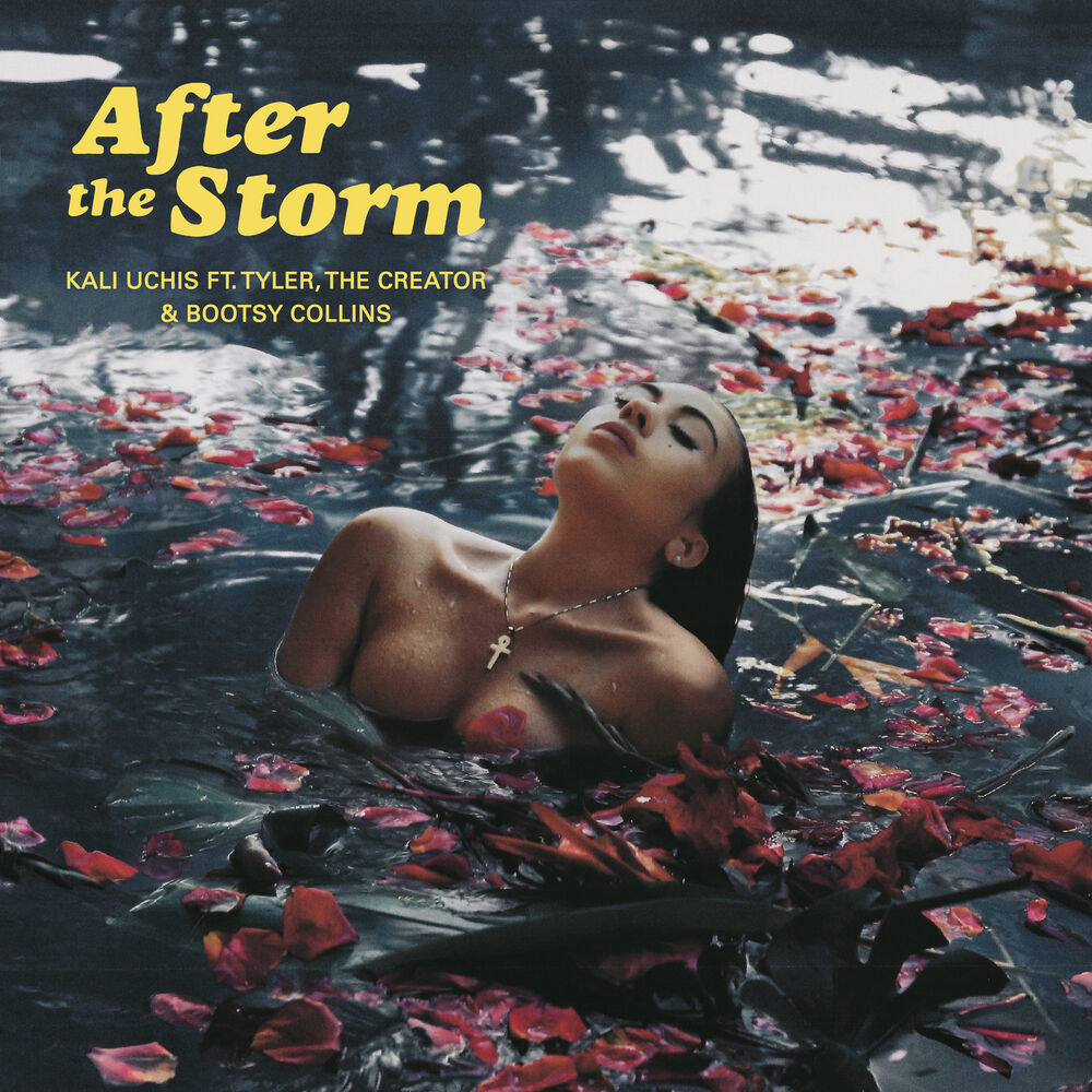 Portada de After The Storm