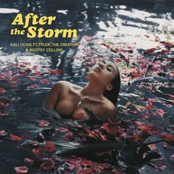 Portada de After The Storm
